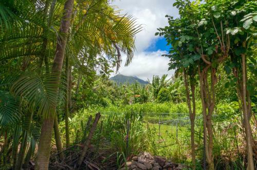Coconut Cottage (tvnc#1298)