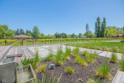 Upscale Modern Vineyard Home