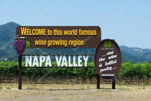 Upscale Modern Vineyard Home