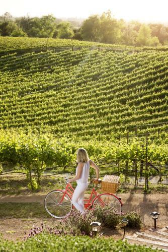 Upscale Modern Vineyard Home
