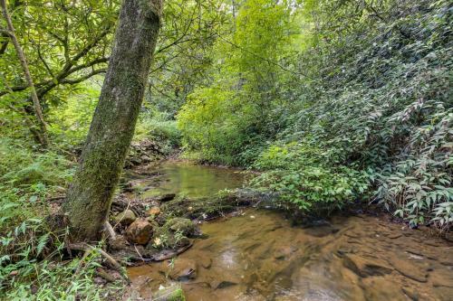 Laurel Creek