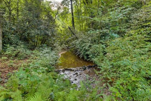Laurel Creek