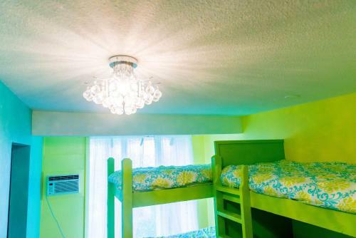 The Big Island Hostel