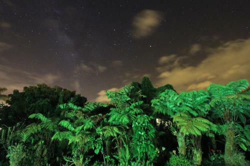 Hilo Bed And Breakfast