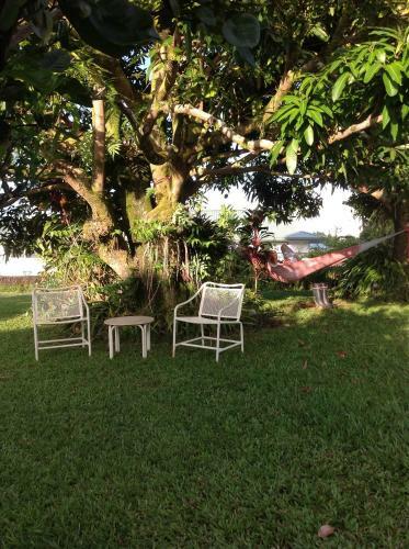 Hilo Bed And Breakfast