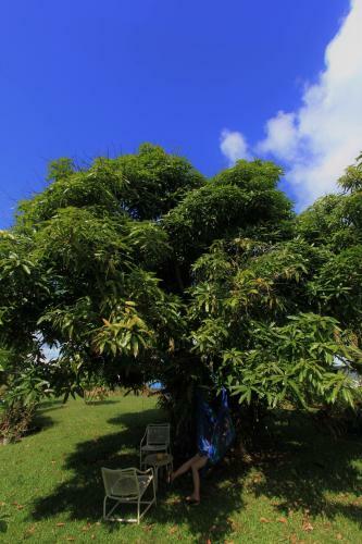 Hilo Bed And Breakfast