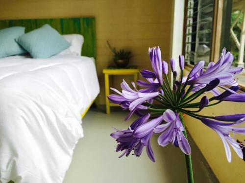 Bed & Breakfast Kaumana Caves Inn