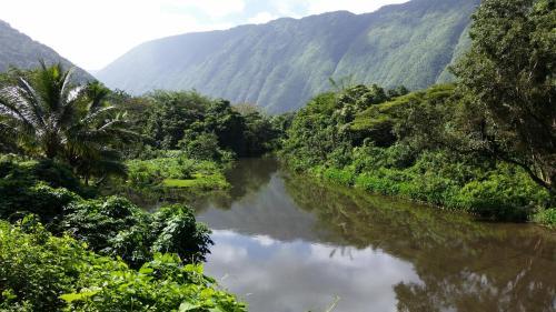 Maluhia Kahakai