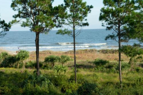 Apartamento Ocean Dunes #wod320 Condo