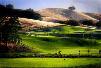 Hotel Sheraton Pleasanton