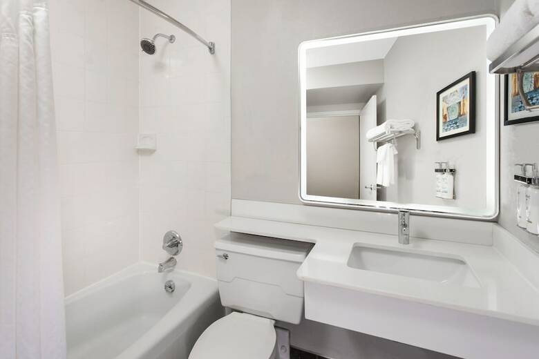 Hotel Holiday Inn Chicago Oakbrook