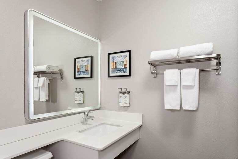 Hotel Holiday Inn Chicago Oakbrook