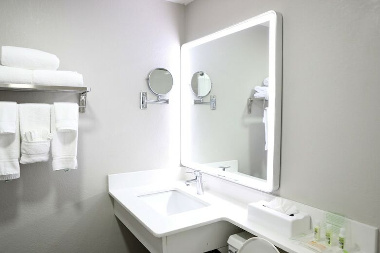 Hotel Holiday Inn Chicago Oakbrook