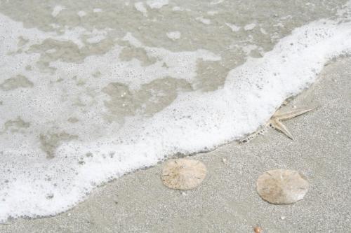 Sea Spray 1 Home