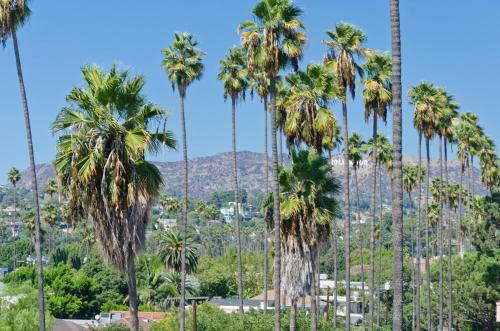 Apartamento Los Angeles Hollywood Star Suite