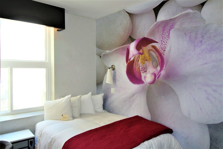 O Hotel And Spa