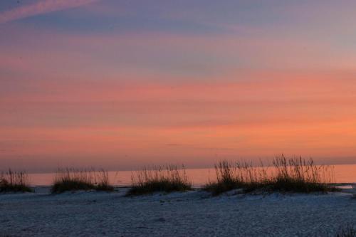 Gulf Shores 205