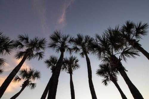 Gulf Shores 205