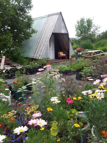 Lodge Cottonwood Cabins