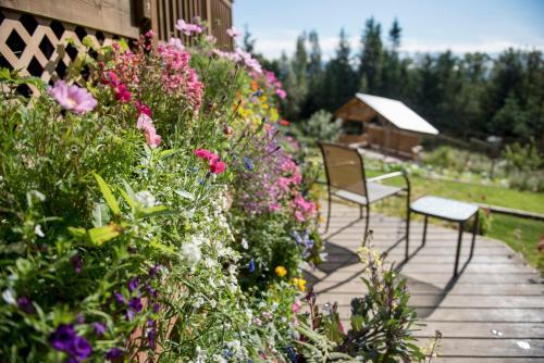 Bed & Breakfast Bear Creek Winery And Lodging