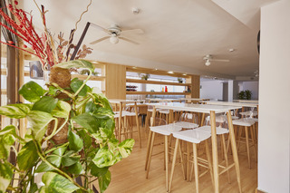 Apartamentos Los Alisios