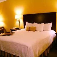 Hotel Hampton Inn Warner Robins