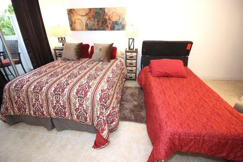 Prince Edward Street Apartment