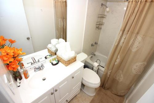 Prince Edward Street Apartment