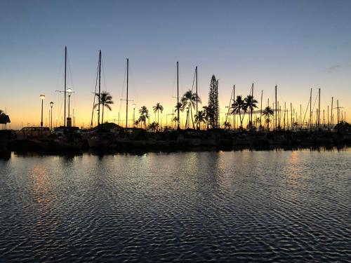 Apartamento 1700-1900 Ala Moana Paradise Private Studios
