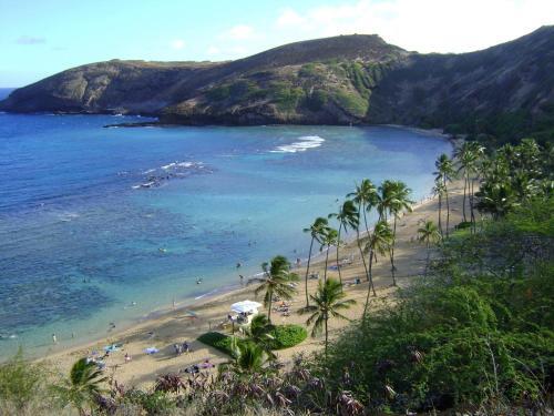 Apartamento Kuhio Village Condominium 1008a