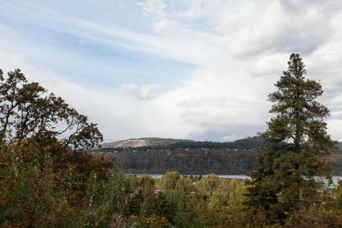 Tree House-river View-2br/1ba