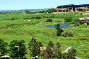 Hotel Hilton Garden Inn Denver South Meridian