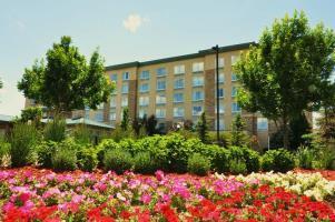 Hotel Hilton Garden Inn Denver South Meridian