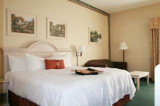 Hotel Hampton Inn Kerrville