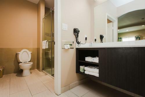 Motel Palace Inn - Willowbrook Mall