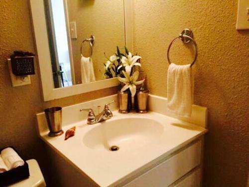 Luxury Apartments Downtown Houston