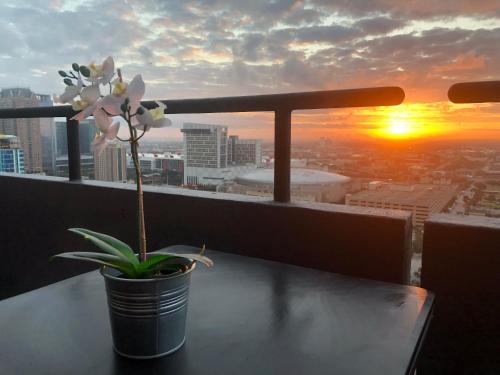 Luxury Apartments Downtown Houston