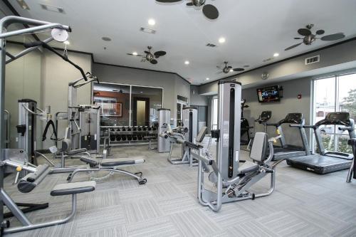 Apartamento Midtown 2019