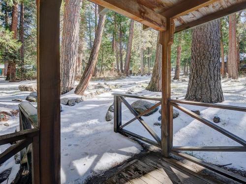 Twin Tree Cottage