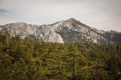 Idyllwild Camping Resort Cottage