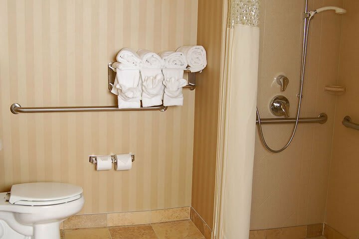 Hotel Hampton Inn & Suites Mobile Providence Park/airport Al