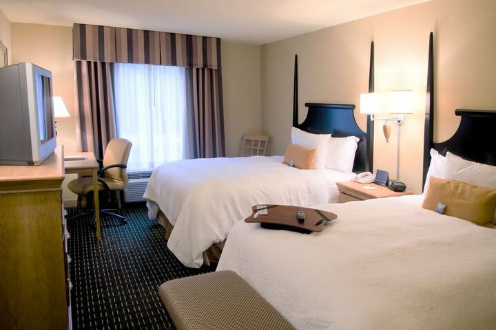 Hotel Hampton Inn & Suites Mobile Providence Park/airport Al