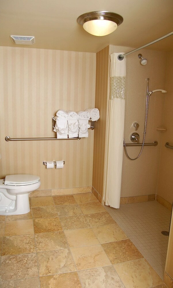 Hotel Hampton Inn & Suites Mobile Providence Park/airport Al