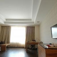 Hotel Mapple Emerald New Delhi