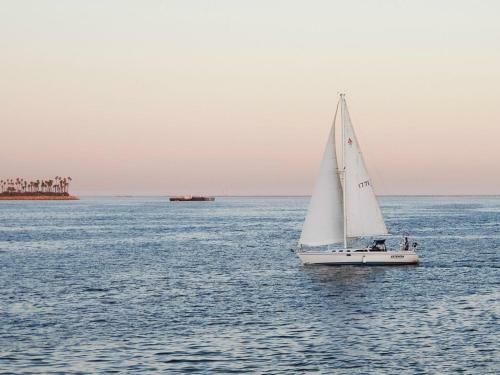 Topeka Apartment #873901 Apts