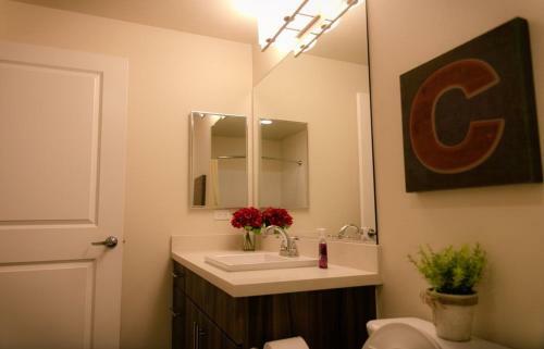 Jamboree Apartment #873907 Apts