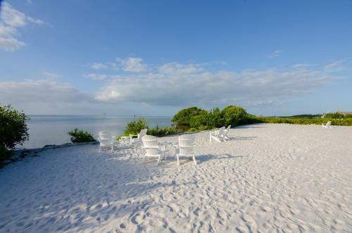 Anglers Reef-yellowtail House