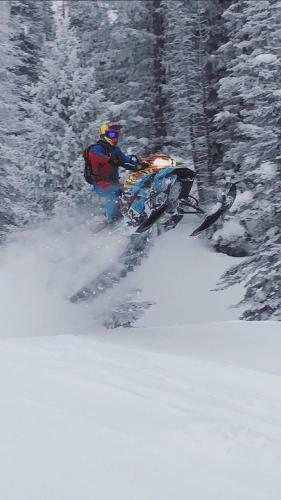 Hidden Pines