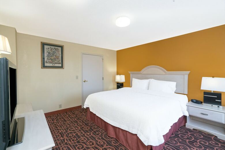 Hotel Hampton Inn Bessemer