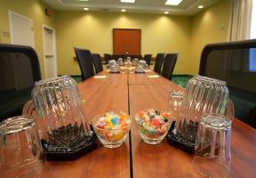 Hotel Springhill Suites Tampa North